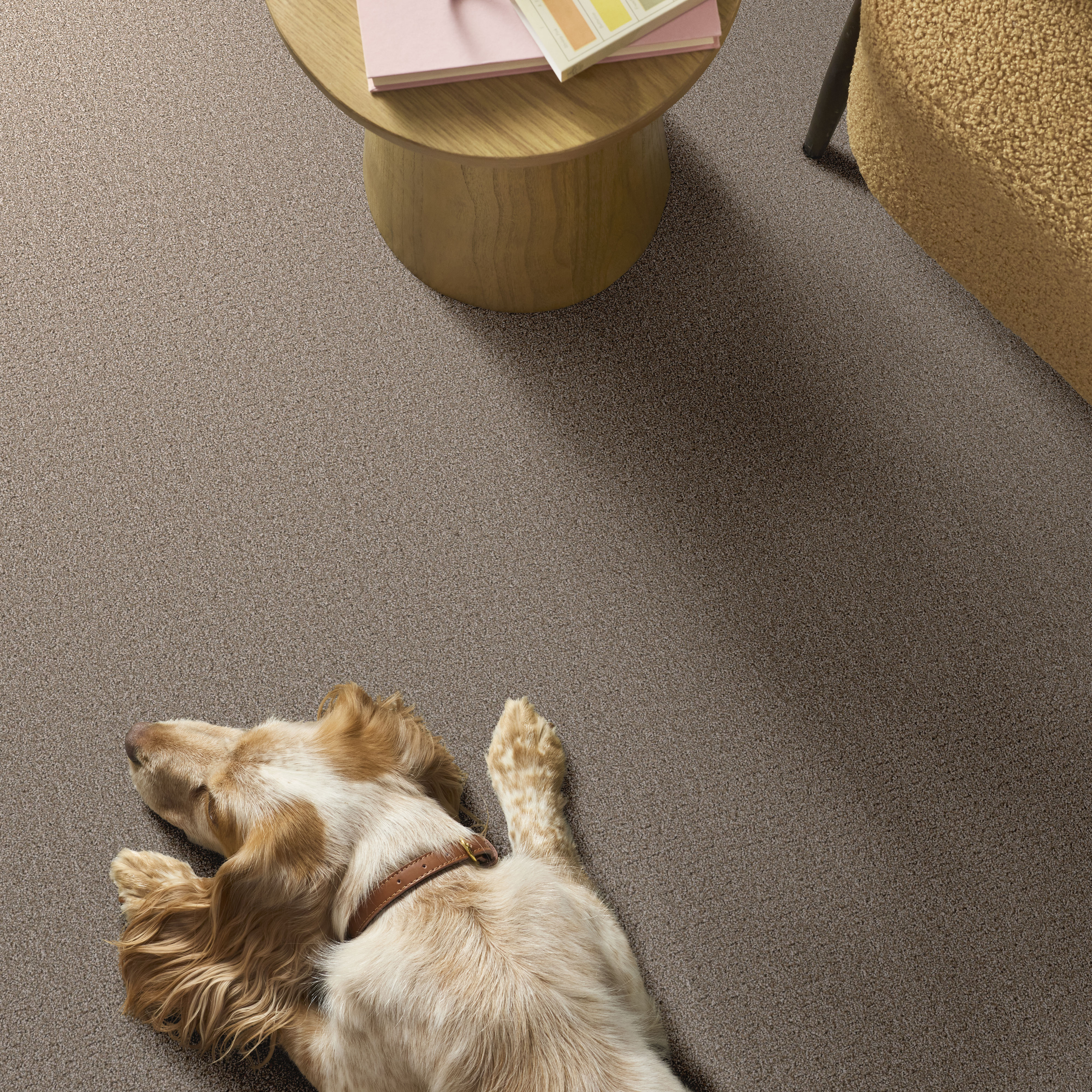 Secret Journey - Mocha Carpet | Shaw Floors